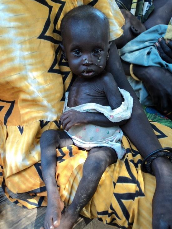 Con un pezzetto di cuore 'altrove'-Elisabetta Vittone