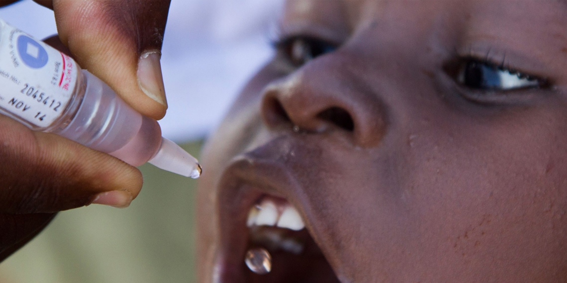 Team RC Vicenza Nord Sandrigo di Davide Vivian Team RC Vicenza Nord Sandrigo-Davide Vivian