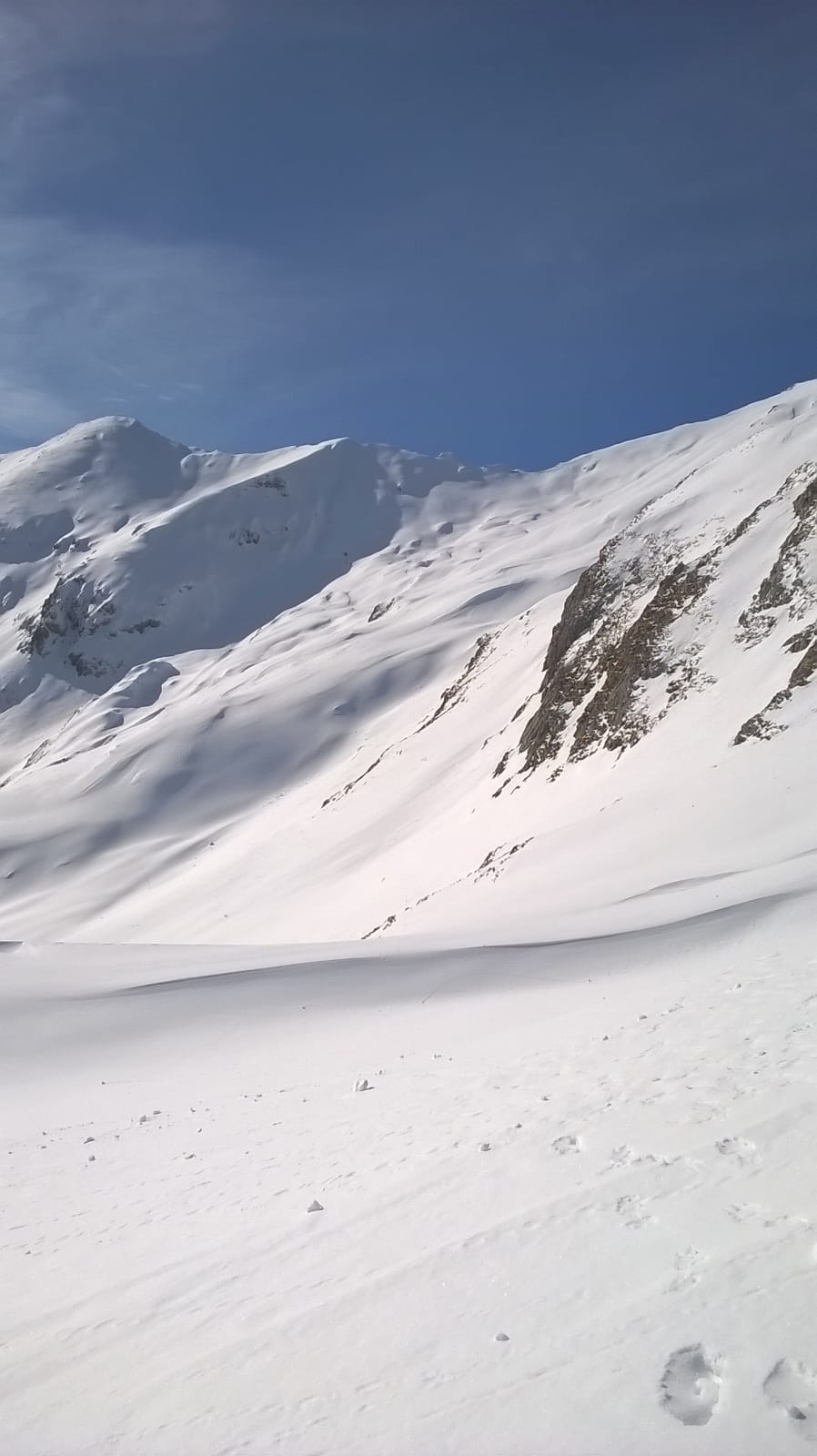 L'UNIONE FA' LA FORZA -Laura Sala