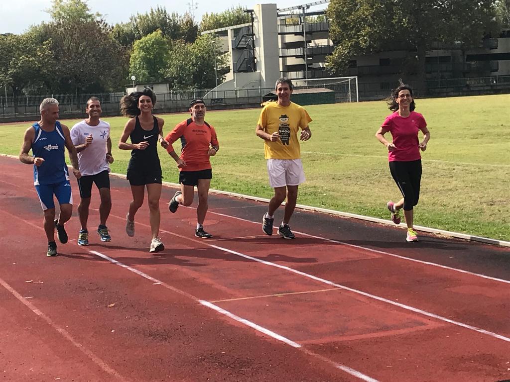 Bologna’s 3 “T”: 2Towers' Turtles-Luca Rapagnà