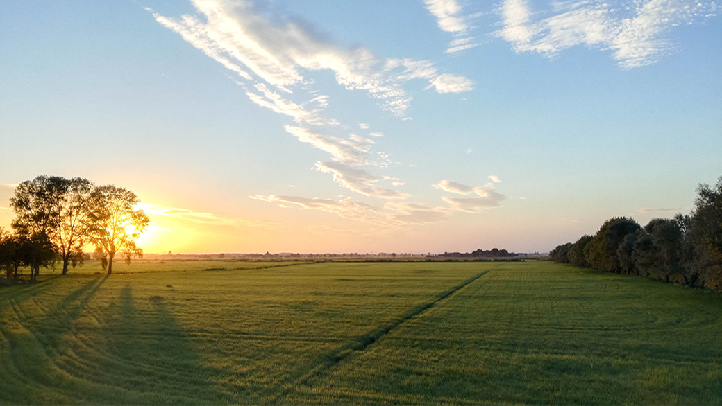 Un regalo utile di Francesco Rosso Un regalo utile-Francesco Rosso
