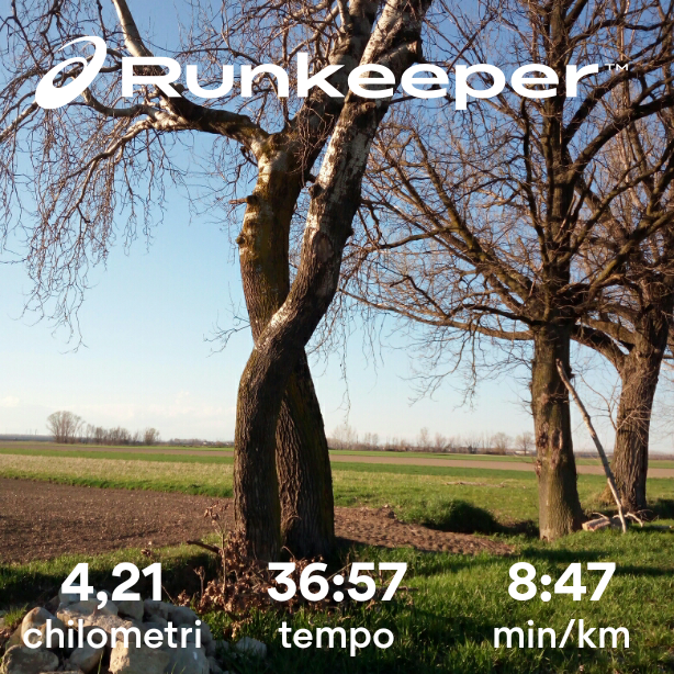 CAMMINCORRIAMO… PER EDO, BEA E ALE di Lina D'Alessandro Pozzi CAMMINCORRIAMO… PER EDO, BEA E ALE-Lina D'Alessandro Pozzi