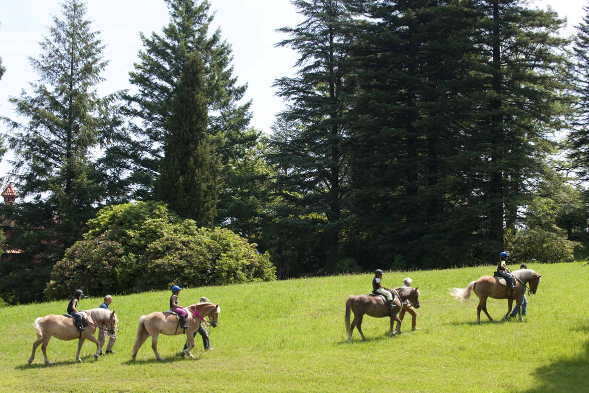 Corriamo insieme per regalare sorrisi! di Urban Runners per Dynamo Camp Corriamo insieme per regalare sorrisi!-Urban Runners per Dynamo Camp