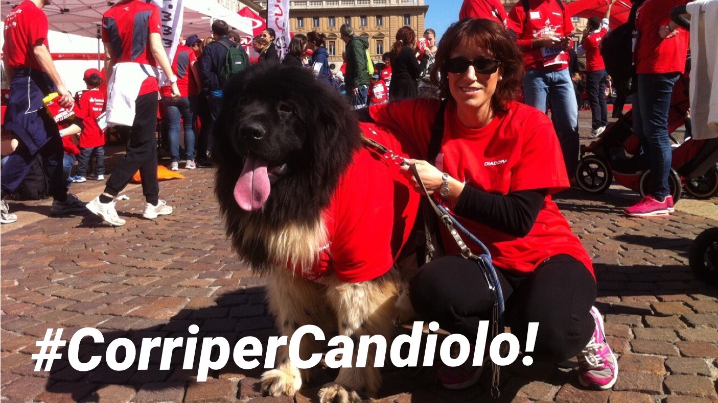 Corri contro il cancro!-Dario Sangiolo