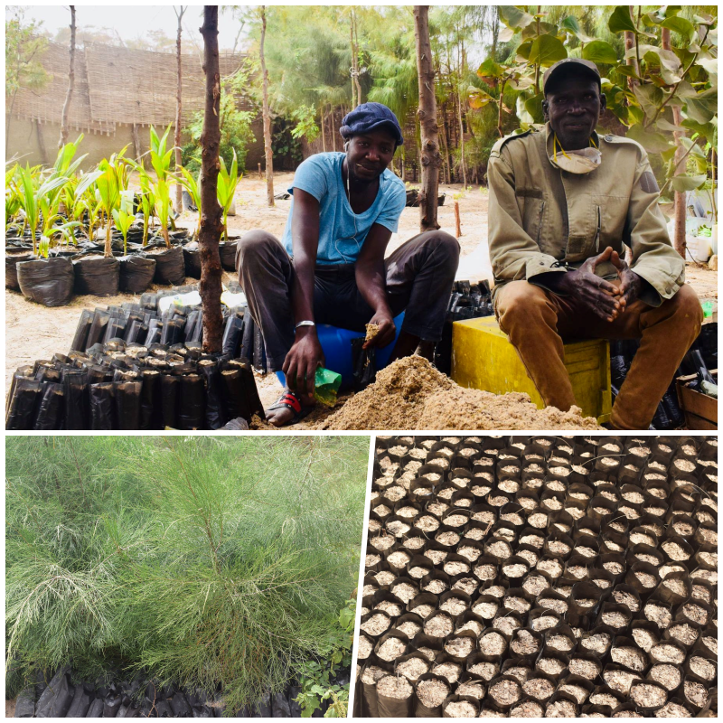 PIANTAla lì e corri con me! di Irene Maina PIANTAla lì e corri con me!-Irene Maina