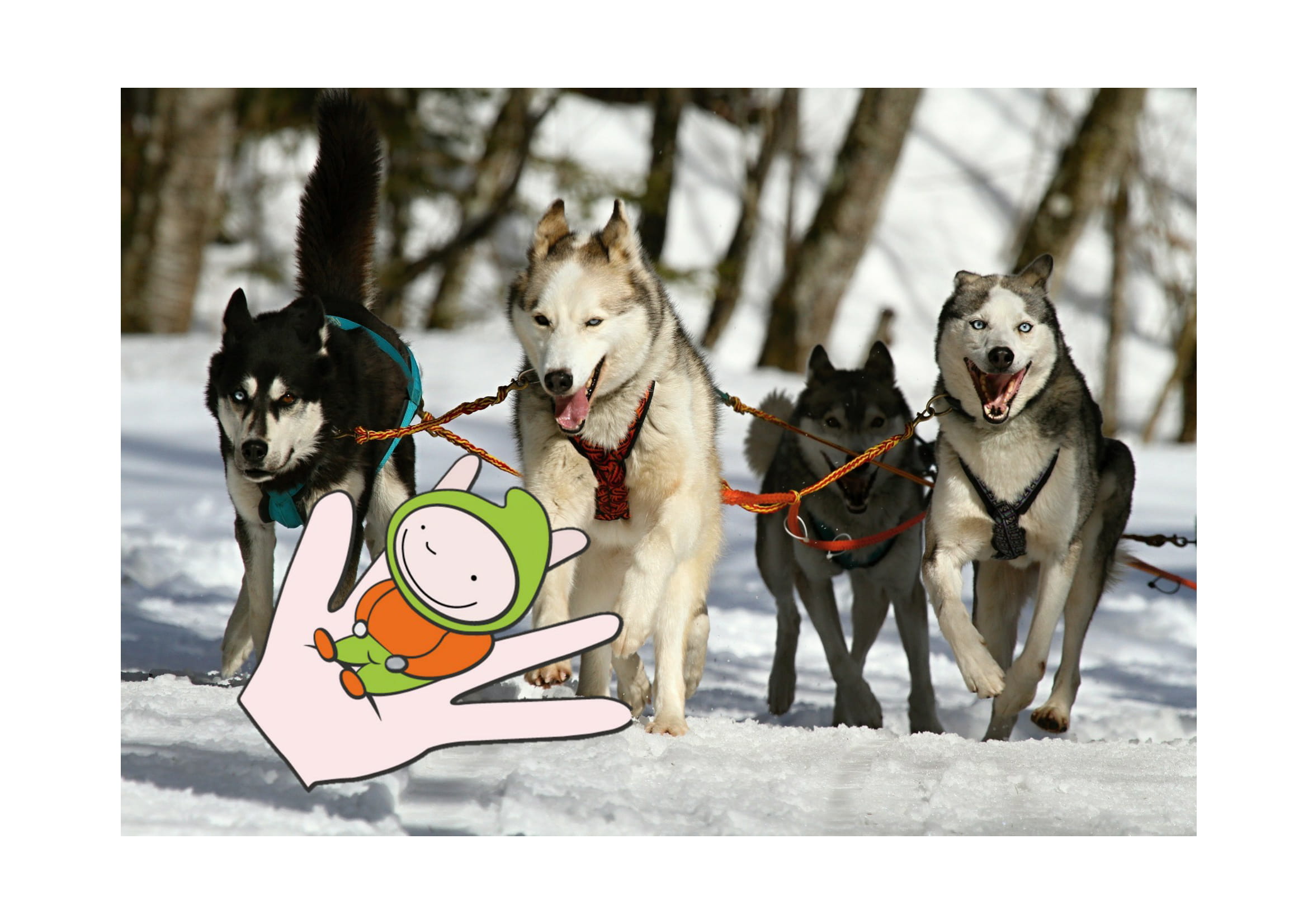 La Gym Tonic corre per Pollicino! di Sofia Gallarati La Gym Tonic corre per Pollicino!-Sofia Gallarati