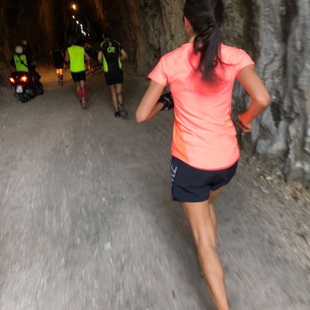 Erica per ROTARY Conegliano - V.Veneto-Erica Barina