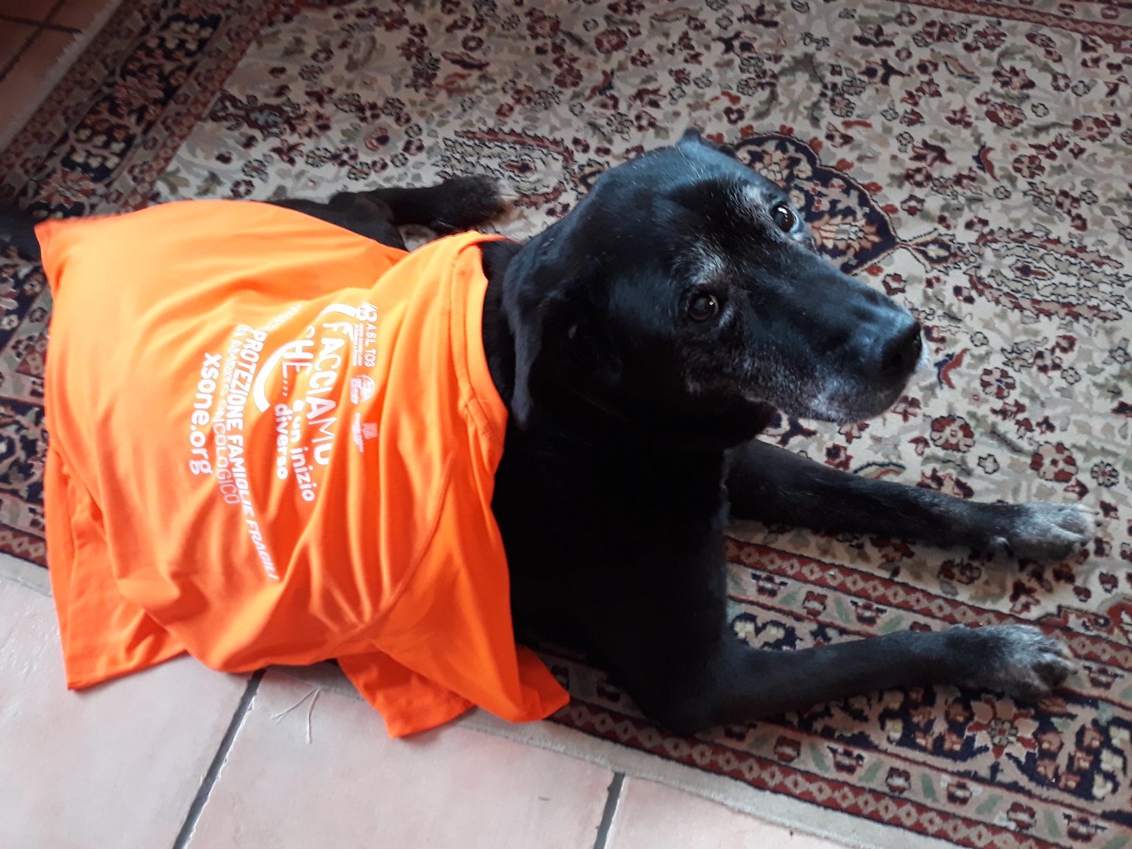 Lostis Family & Friends-MONICA ONNIS