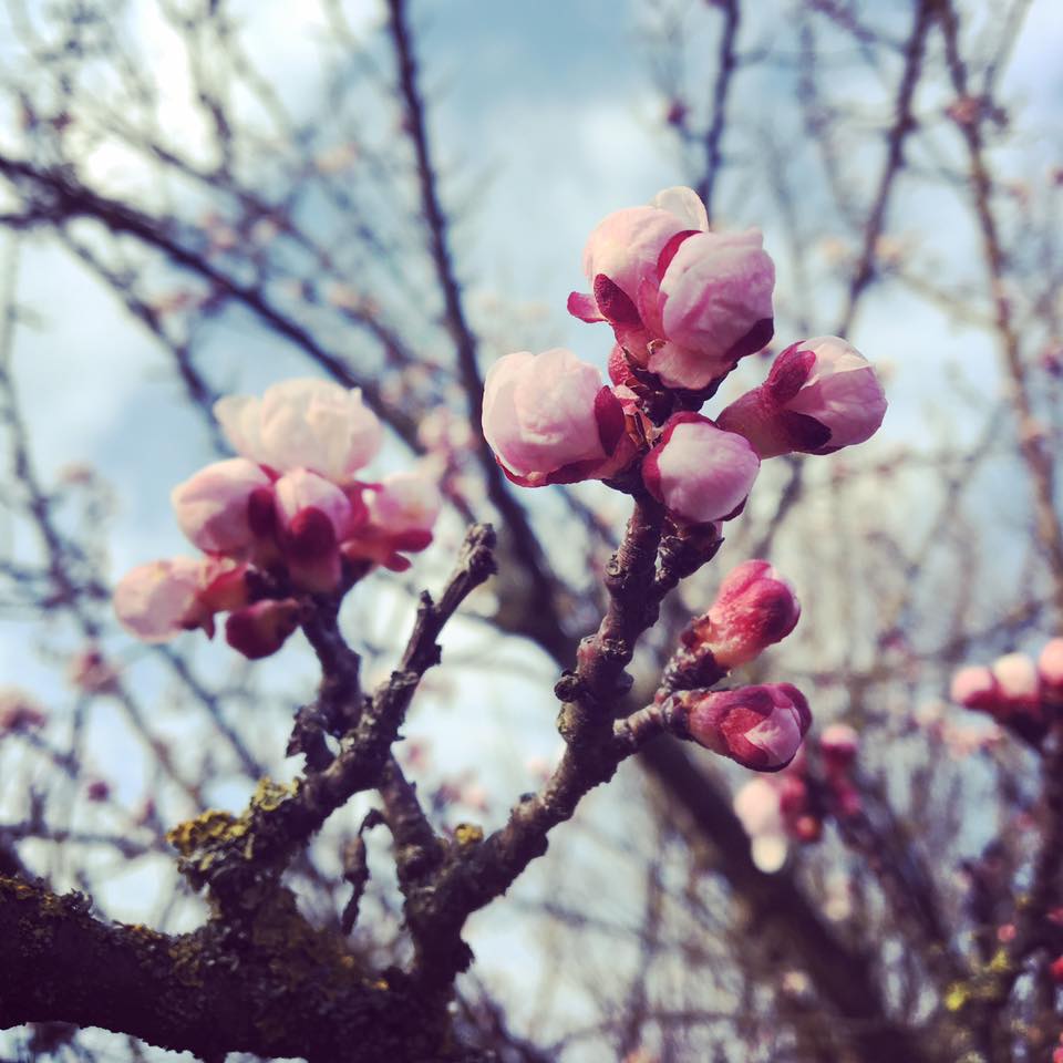 Non si sbaglia mai a fare la cosa giusta-GENNI DI MASSA