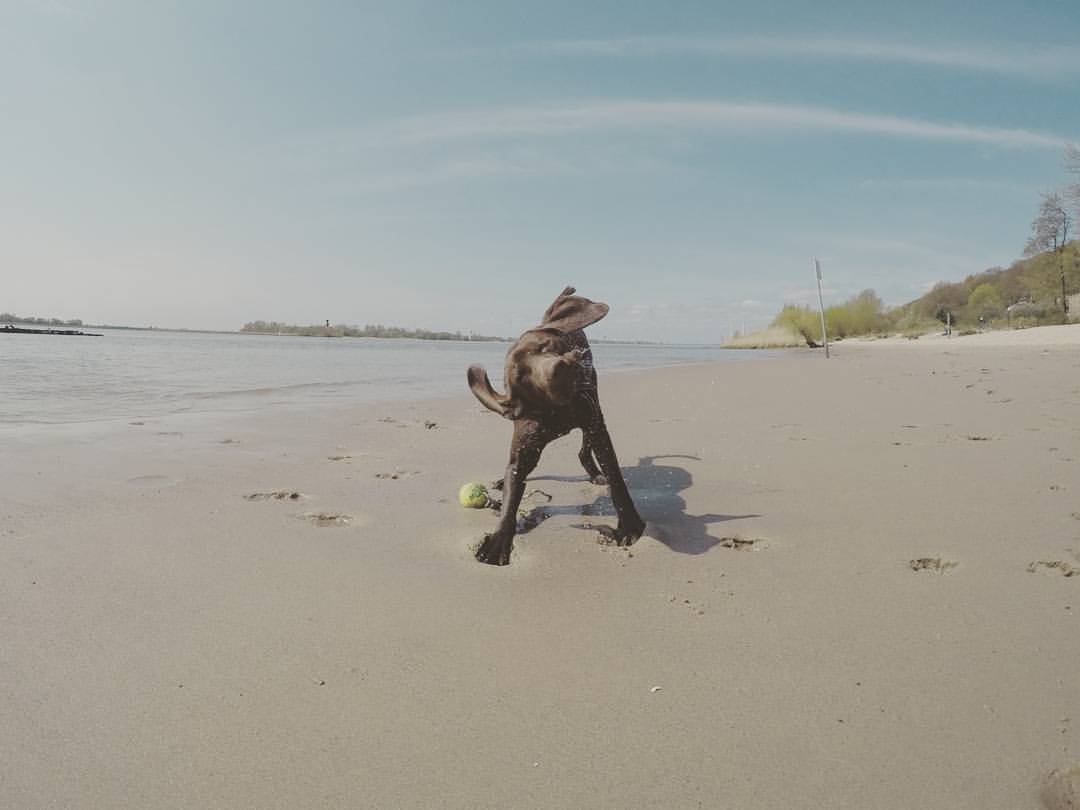 Milano Marathon per Fondazione De Marchi di Alessandro Patti Milano Marathon per Fondazione De Marchi-Alessandro Patti