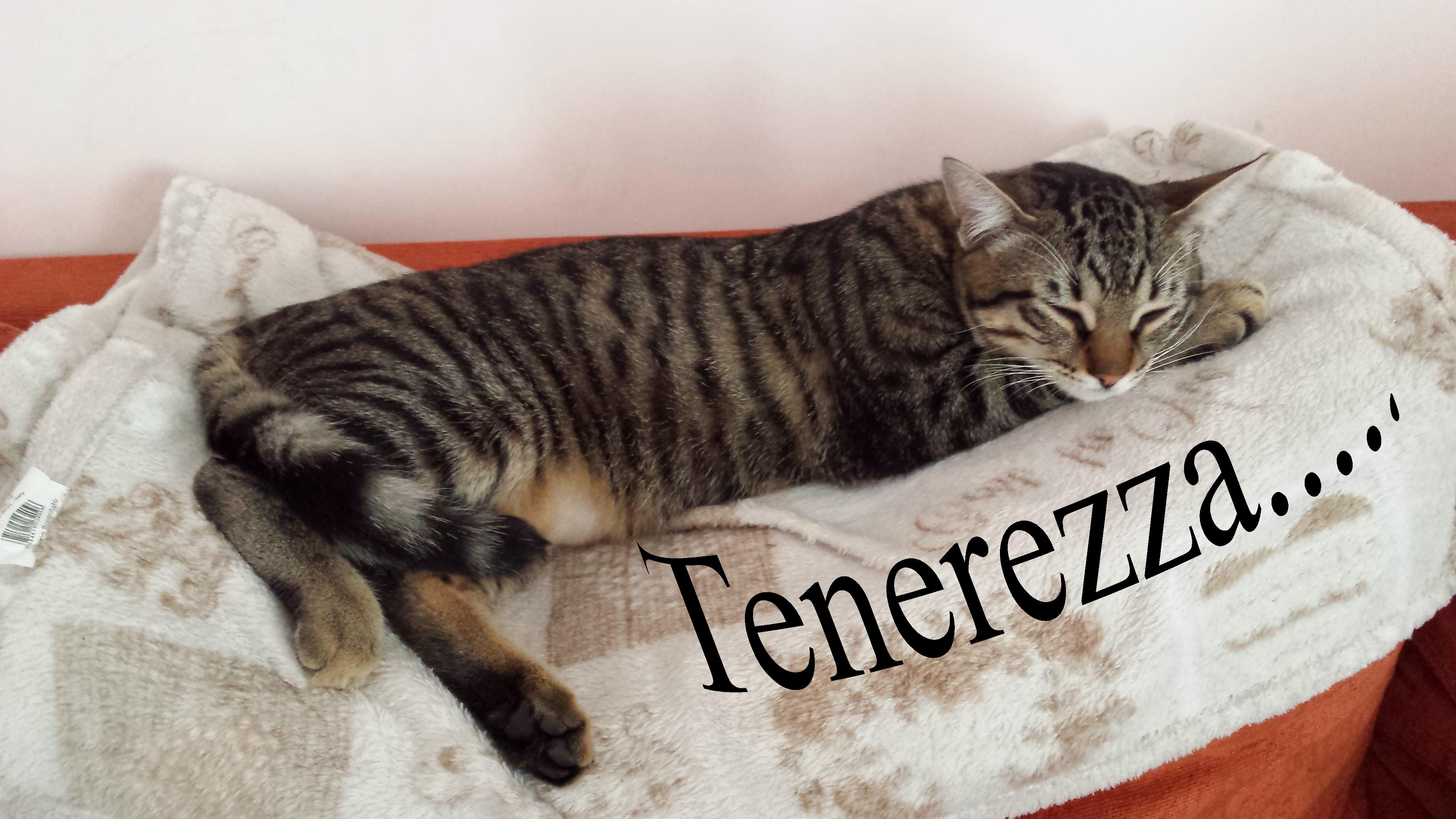 4 amici ..... e una staffetta-Nick (Vincenzo Urso)