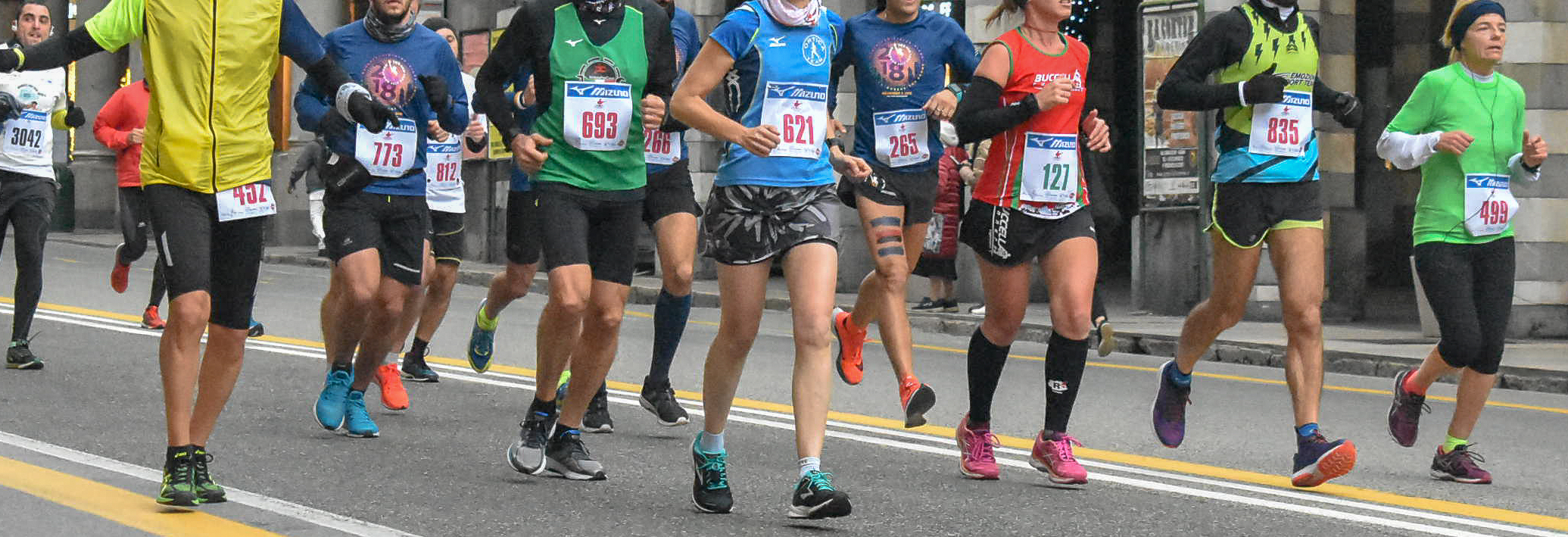 AIp Onlus - Alla Ricerca per la Cura -silvia spazzacampagna