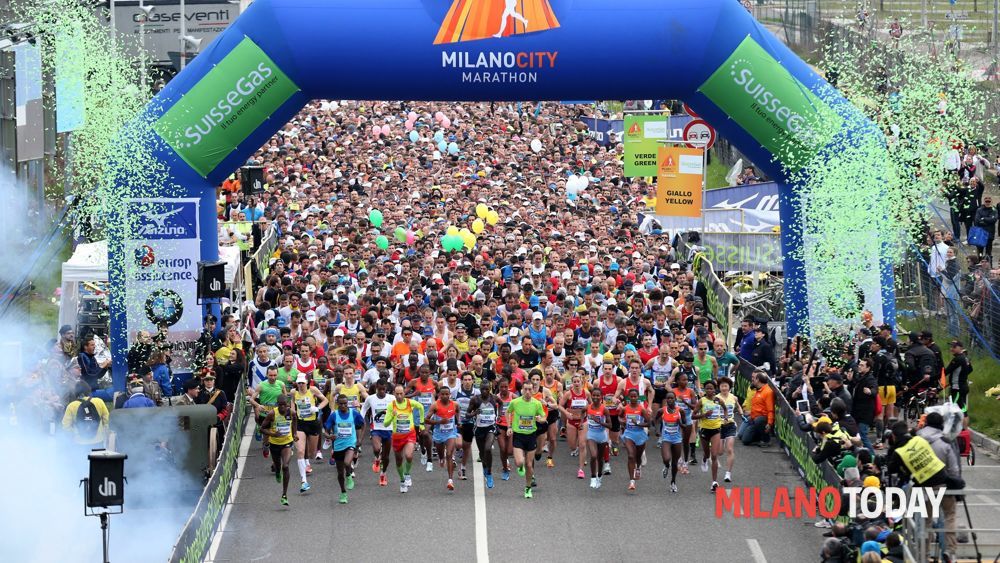 Fondazione LHS 54-Elia Carrara