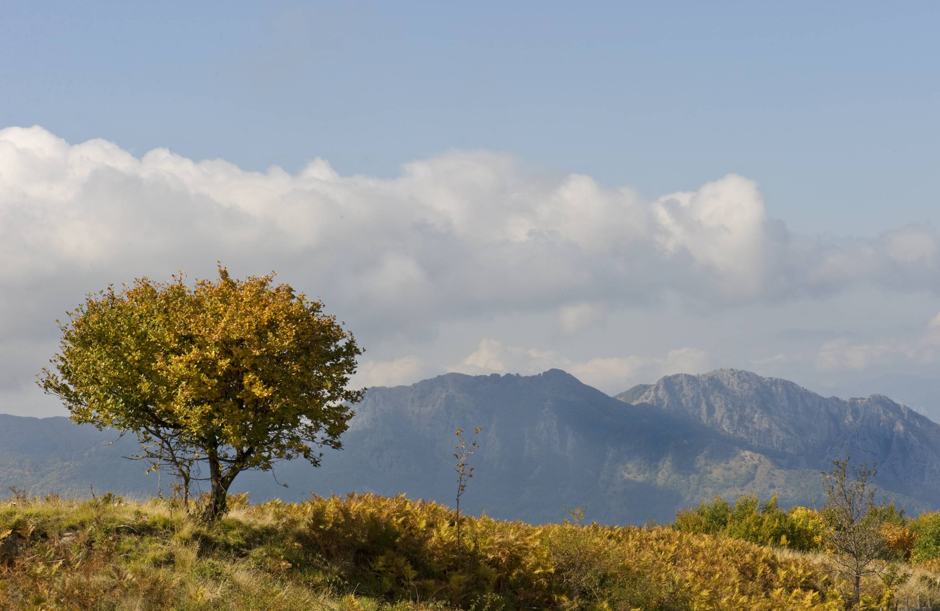 Corriamo insieme per regalare sorrisi! di Urban Runners per Dynamo Camp Corriamo insieme per regalare sorrisi!-Urban Runners per Dynamo Camp