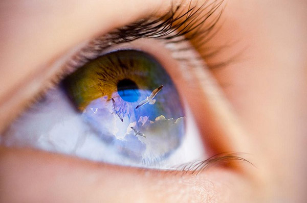 Abbiamo un Piano e sembra Forte! di Erica Casagrande Abbiamo un Piano e sembra Forte!-Erica Casagrande