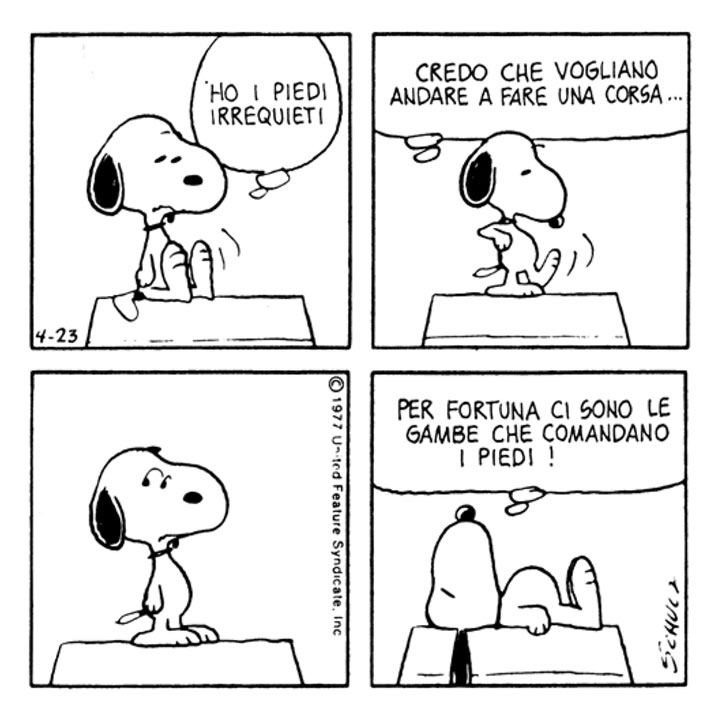 Repetita Juvant-Carlo Scodanibbio