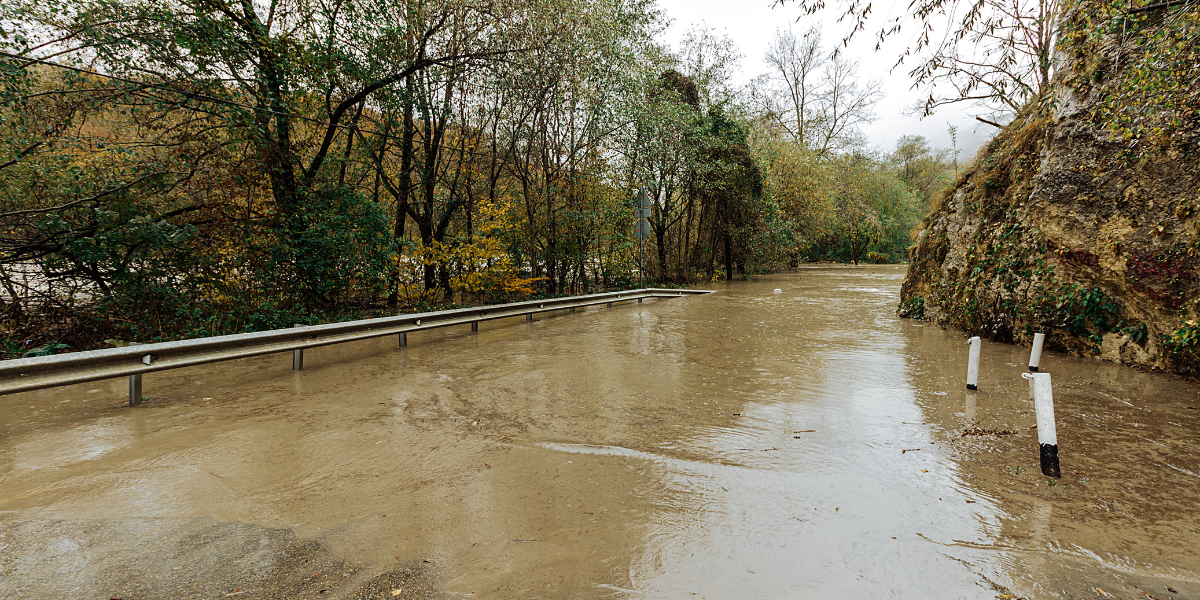 Insieme per l'Emilia Romagna -Eliana De Giorgi