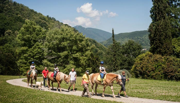 1,2,3.....Stella!-Laura, Massimo, Roberto e.....Stella!