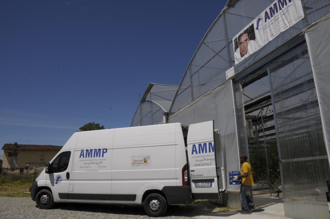 Orto sostenibile AMMP GIORGIO VALSANIA-ESSEBI GROUP di Egidio Boggia e Luca Signore