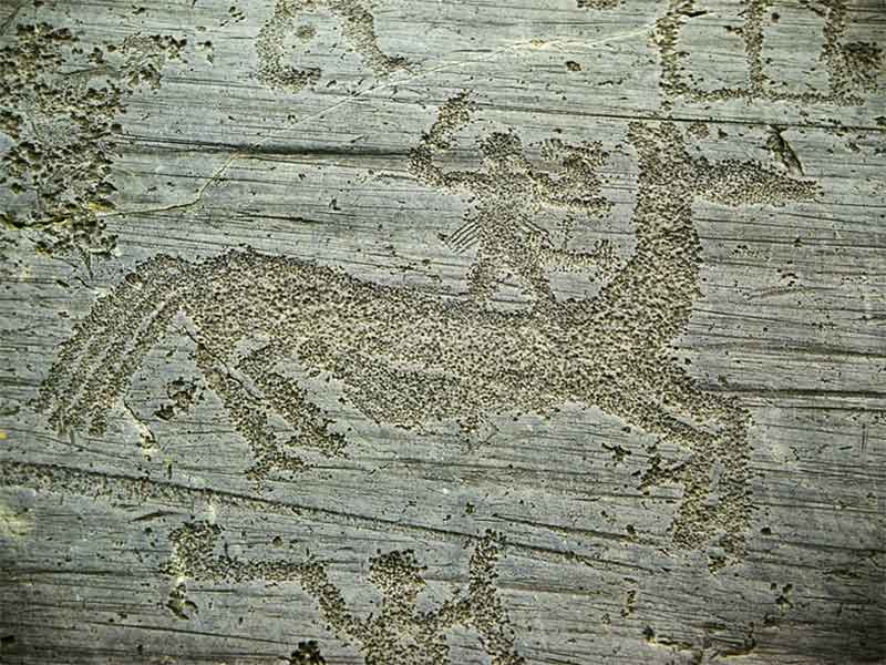 STAFFETTE CAMUNE ALLA MILANO MARATHON-linda donini