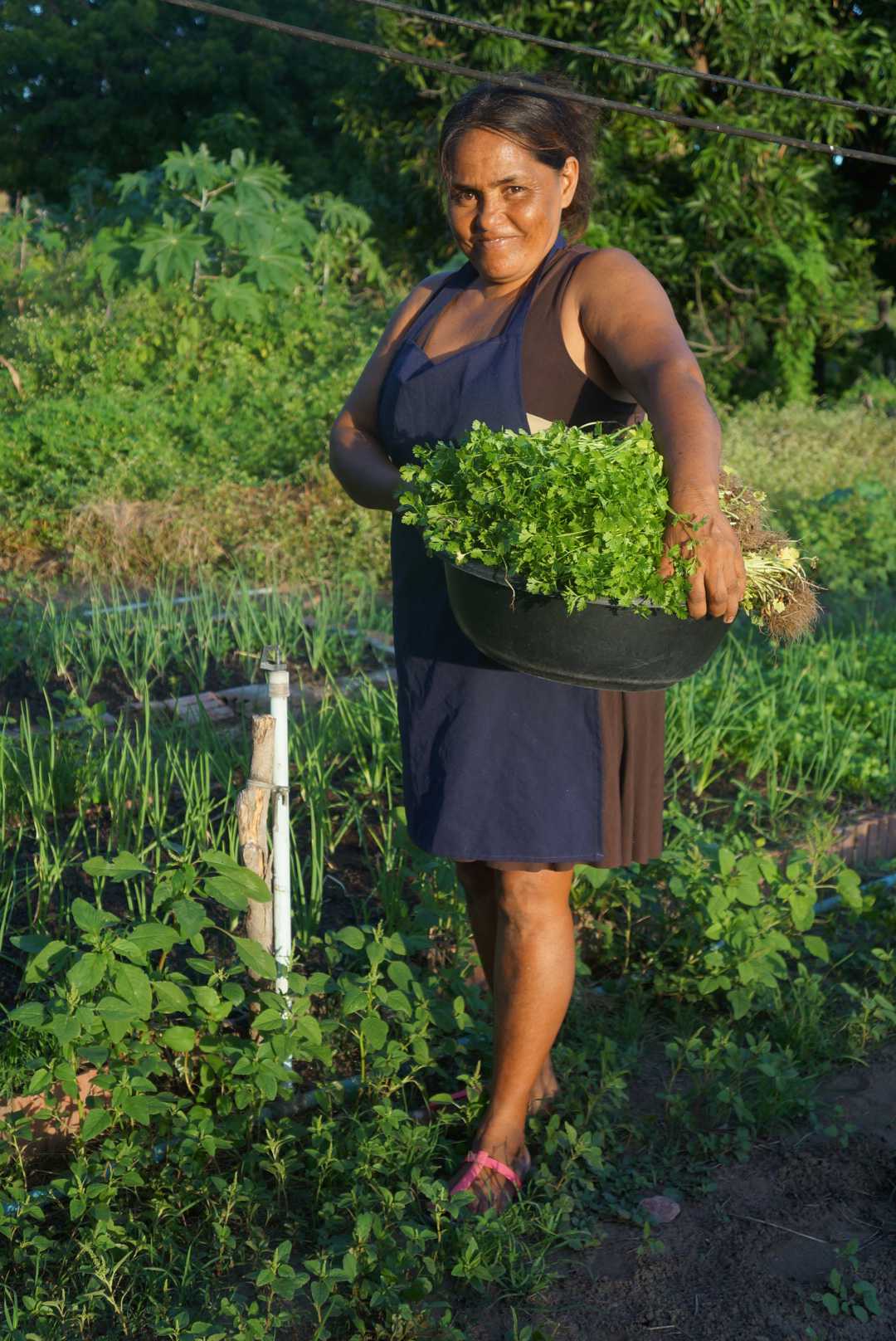 In Brasile per l'agricoltura familiare di CISV In Brasile per l'agricoltura familiare-CISV