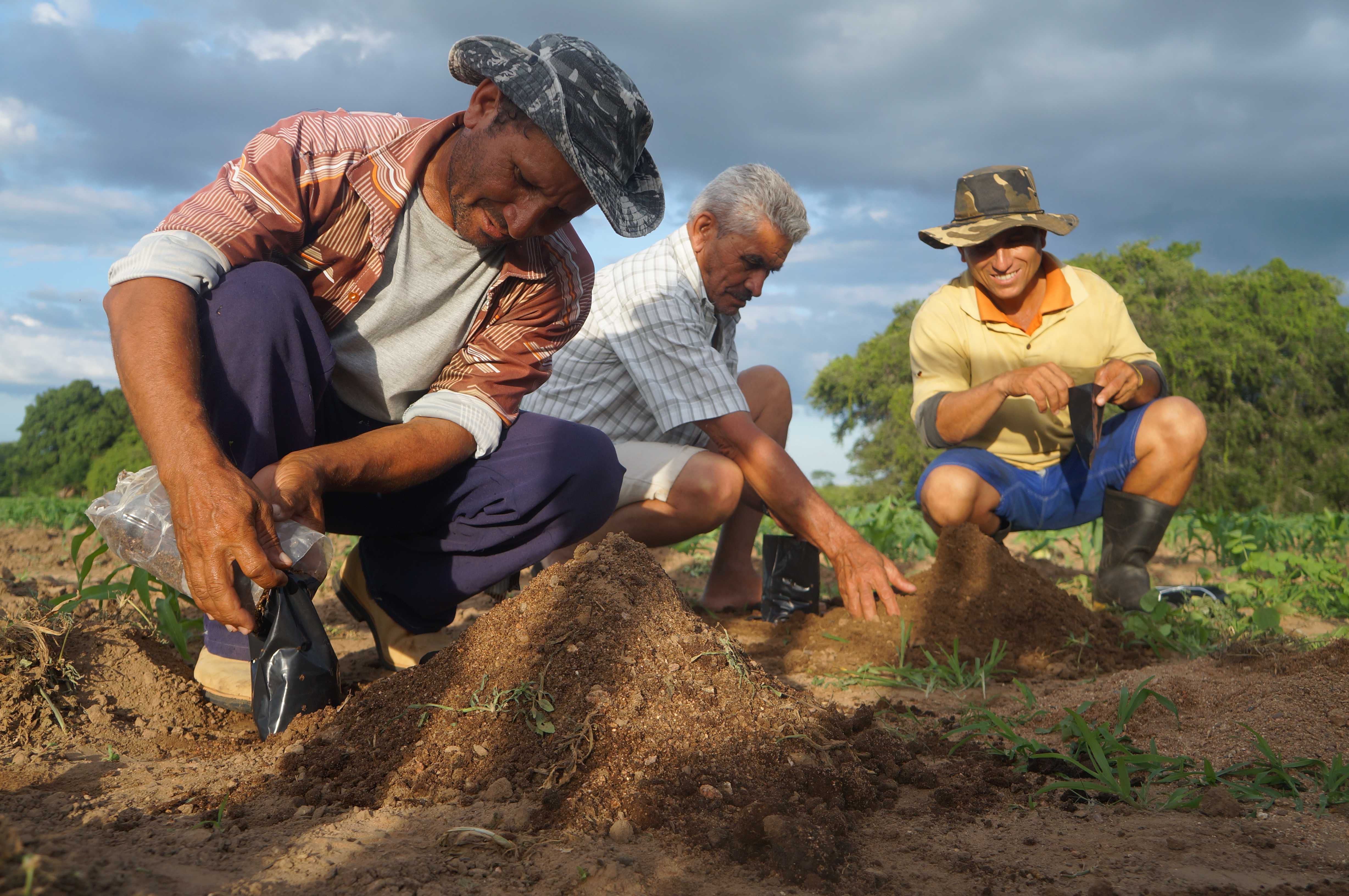 In Brasile per l'agricoltura familiare di CISV In Brasile per l'agricoltura familiare-CISV