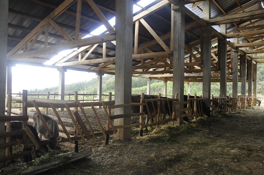 Run 4 "Perù: Latte fonte di vita" di Iscos Lombardia Onlus Run 4 "Perù: Latte fonte di vita"-Iscos Lombardia Onlus