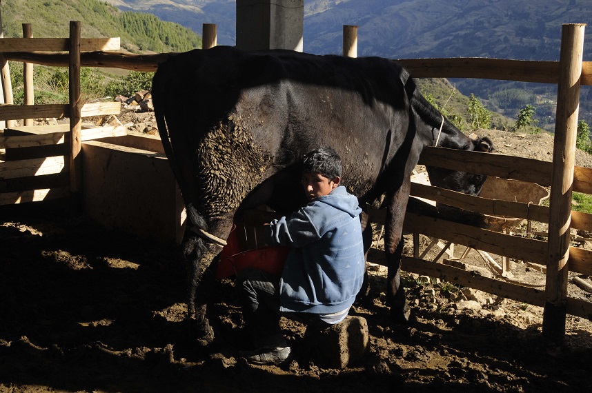 Run 4 "Perù: Latte fonte di vita"-Iscos Lombardia Onlus