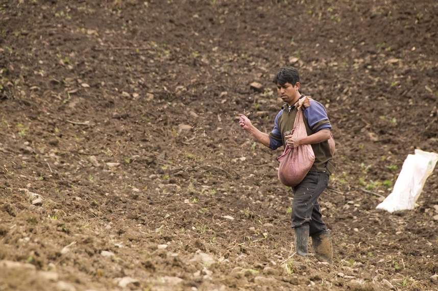 Run 4 "Perù: Latte fonte di vita" di Iscos Lombardia Onlus Run 4 "Perù: Latte fonte di vita"-Iscos Lombardia Onlus