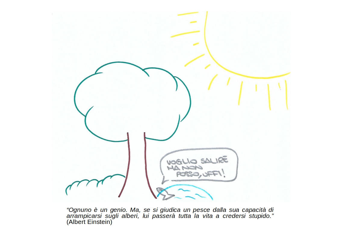 SOGNI NEL CASSETTO E.... SOTTO L'ALBERO di PROGETTO SOCIALE COOPERATIVA SOCIALE SOGNI NEL CASSETTO E.... SOTTO L'ALBERO-PROGETTO SOCIALE COOPERATIVA SOCIALE