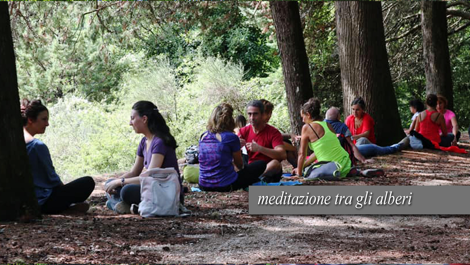 ARTI E SCIENZE NELLA NATURA di Surgente ARTI E SCIENZE NELLA NATURA-Surgente