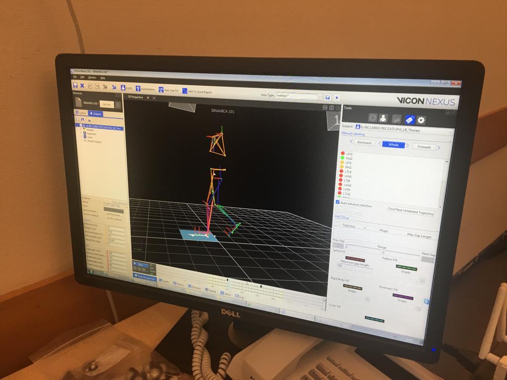 Ricerca Sinergie Muscolari -Fondazione Ariel
