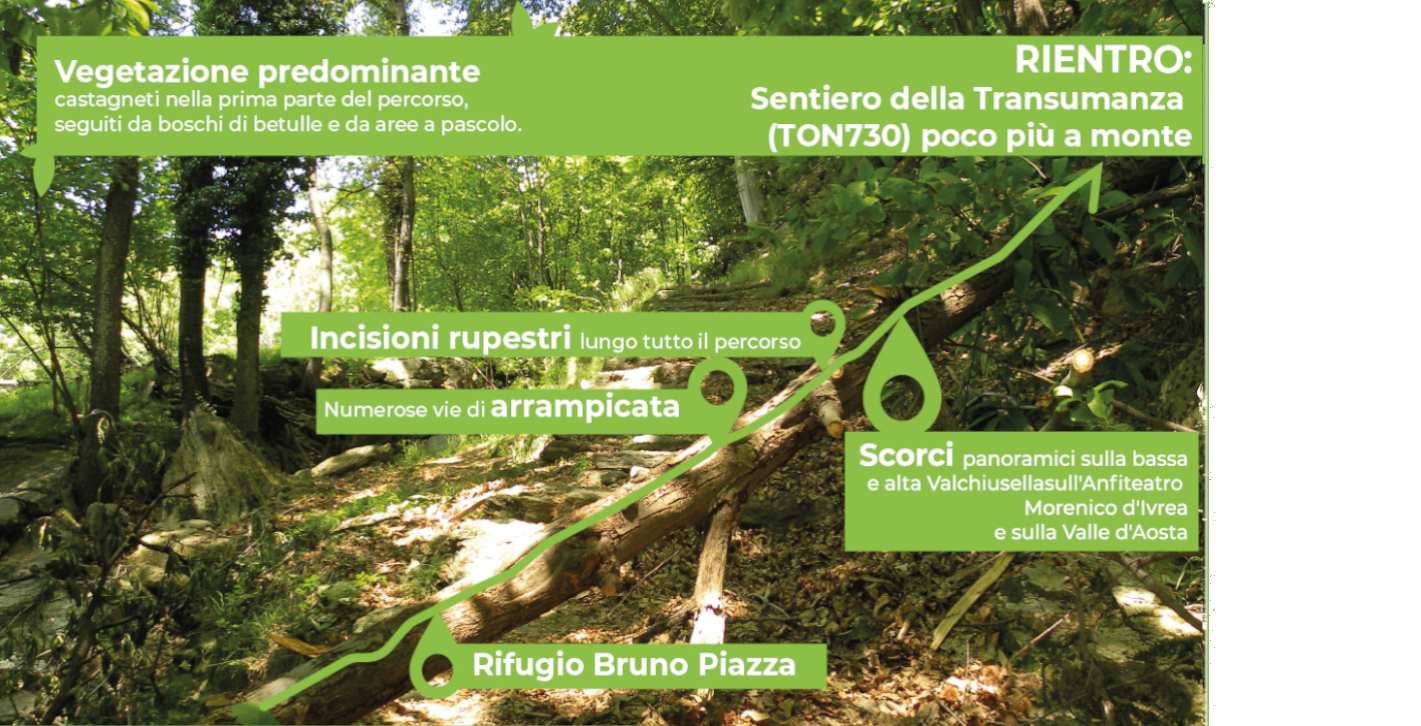 #THEFORESTPATH - IL SENTIERO DELLE ANIME-Consorzio Forestale del Canavese