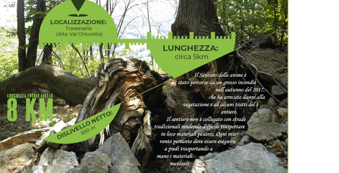 #THEFORESTPATH - IL SENTIERO DELLE ANIME-Consorzio Forestale del Canavese