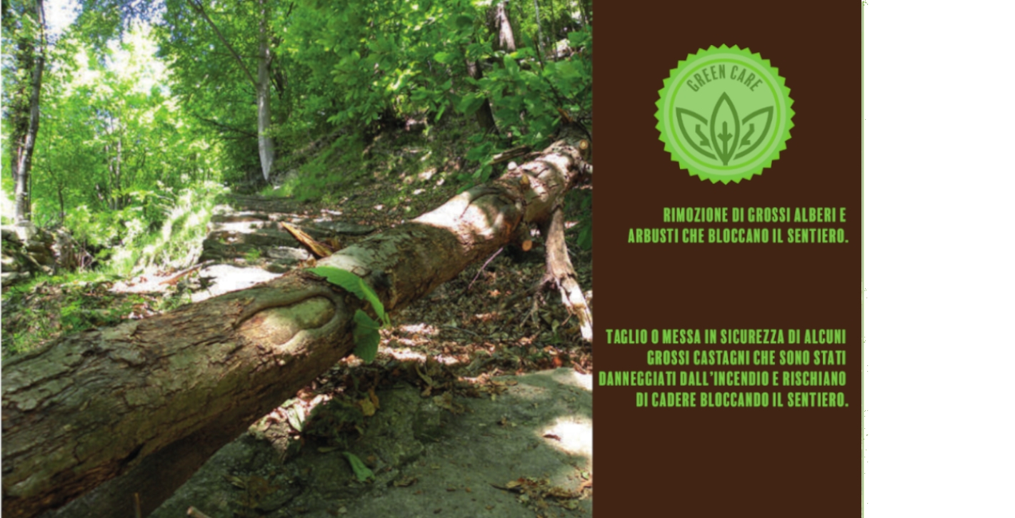 #THEFORESTPATH - IL SENTIERO DELLE ANIME-Consorzio Forestale del Canavese