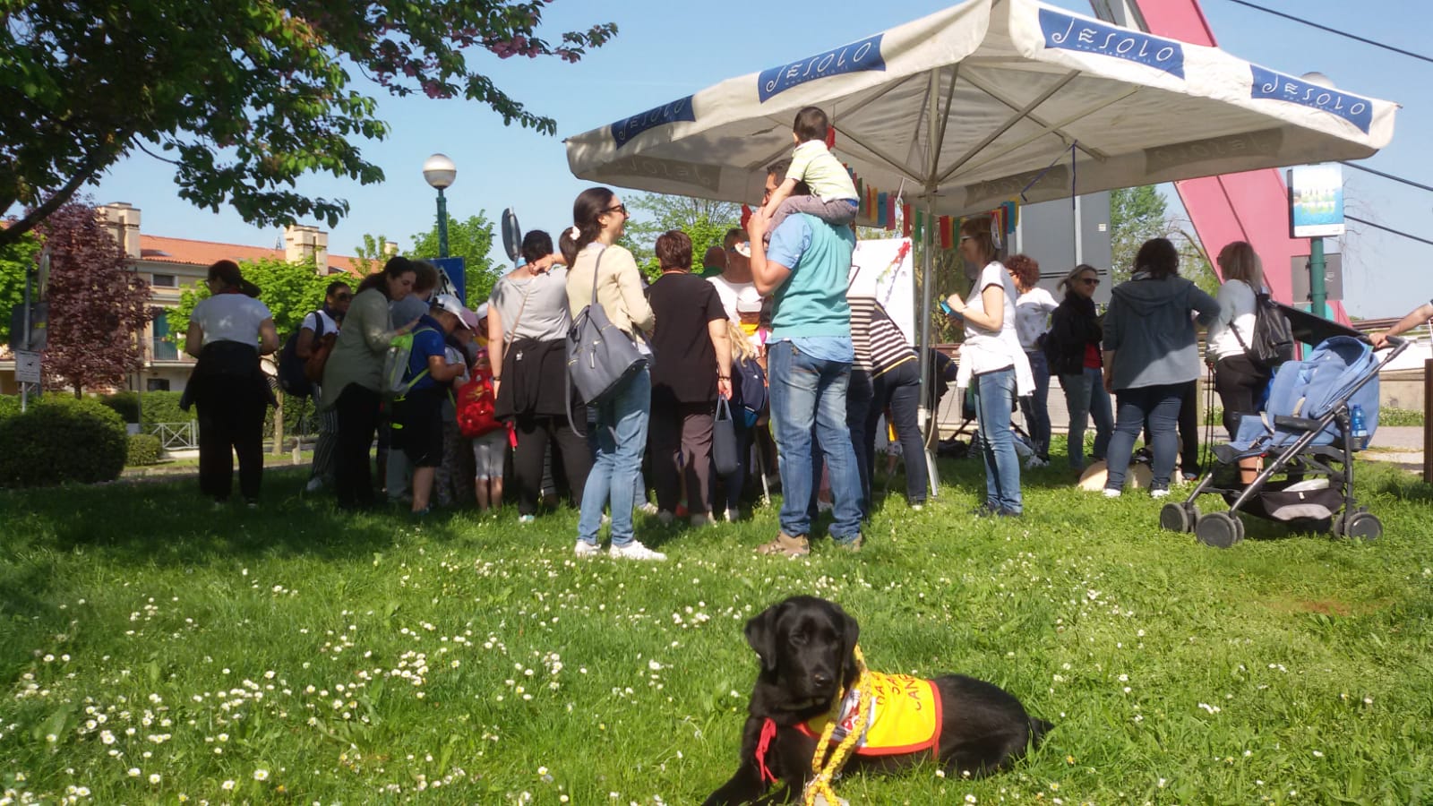 Da grande sarò un cane guida per ciechi.-Puppy
