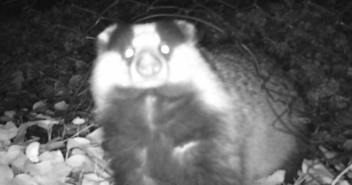 Il mio amico stagno-Associazione Naturalistica Argonauta