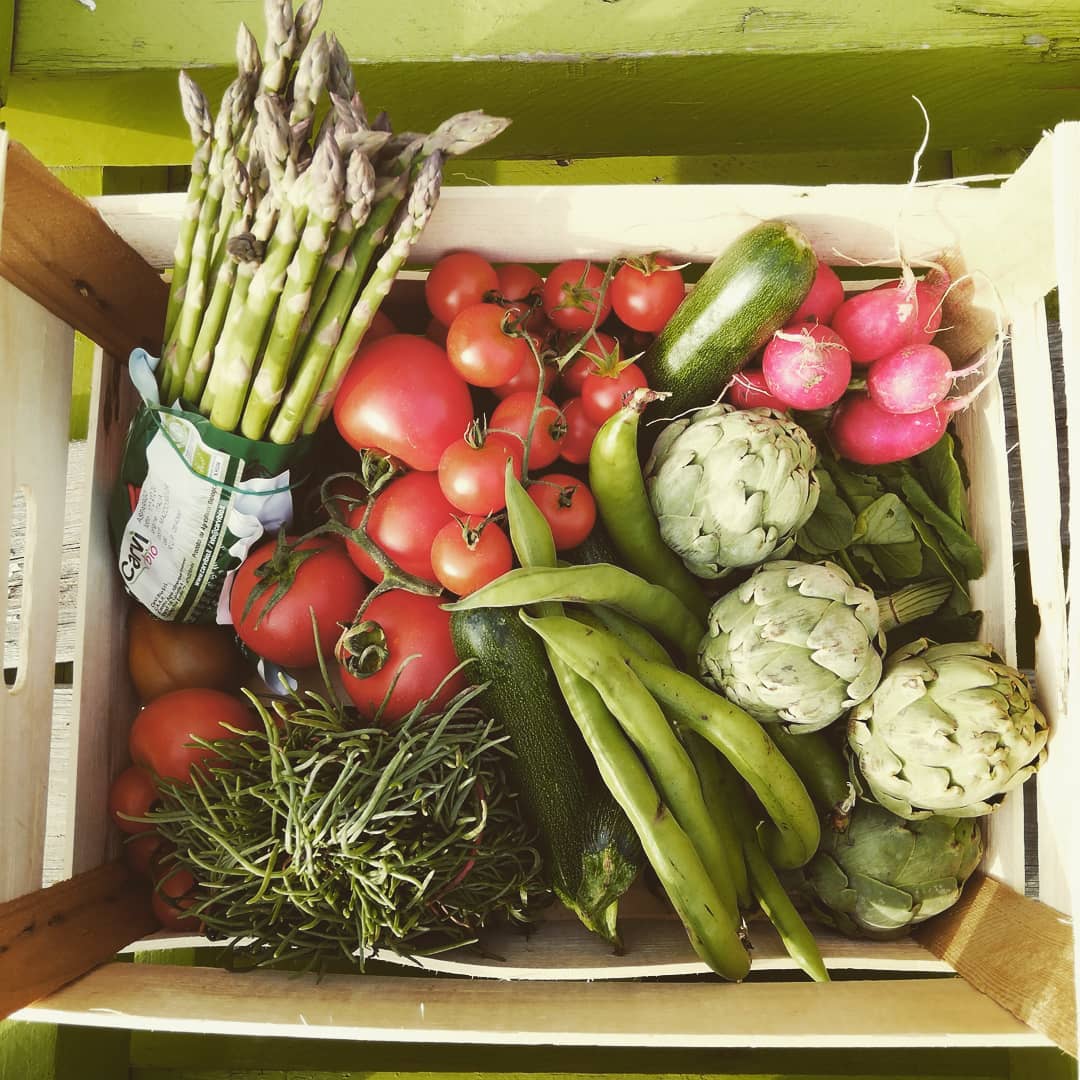 Emporio ae. Salviamo la storia!!! di Contatto Emporio ae. Salviamo la storia!!!-Contatto