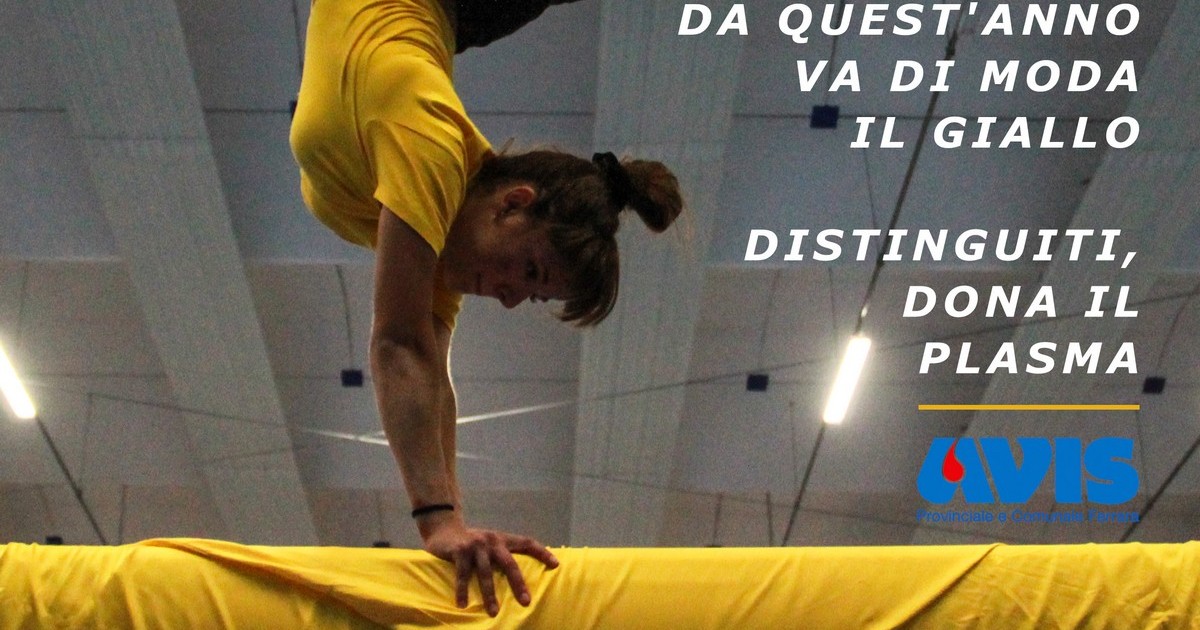 Palestra Ginnastica e Ferrara per AVIS! di Palestra Ginnastica Ferrara a.s.d. Palestra Ginnastica e Ferrara per AVIS!-Palestra Ginnastica Ferrara a.s.d.