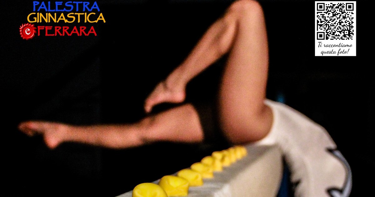 Palestra Ginnastica e Ferrara per AVIS! di Palestra Ginnastica Ferrara a.s.d. Palestra Ginnastica e Ferrara per AVIS!-Palestra Ginnastica Ferrara a.s.d.