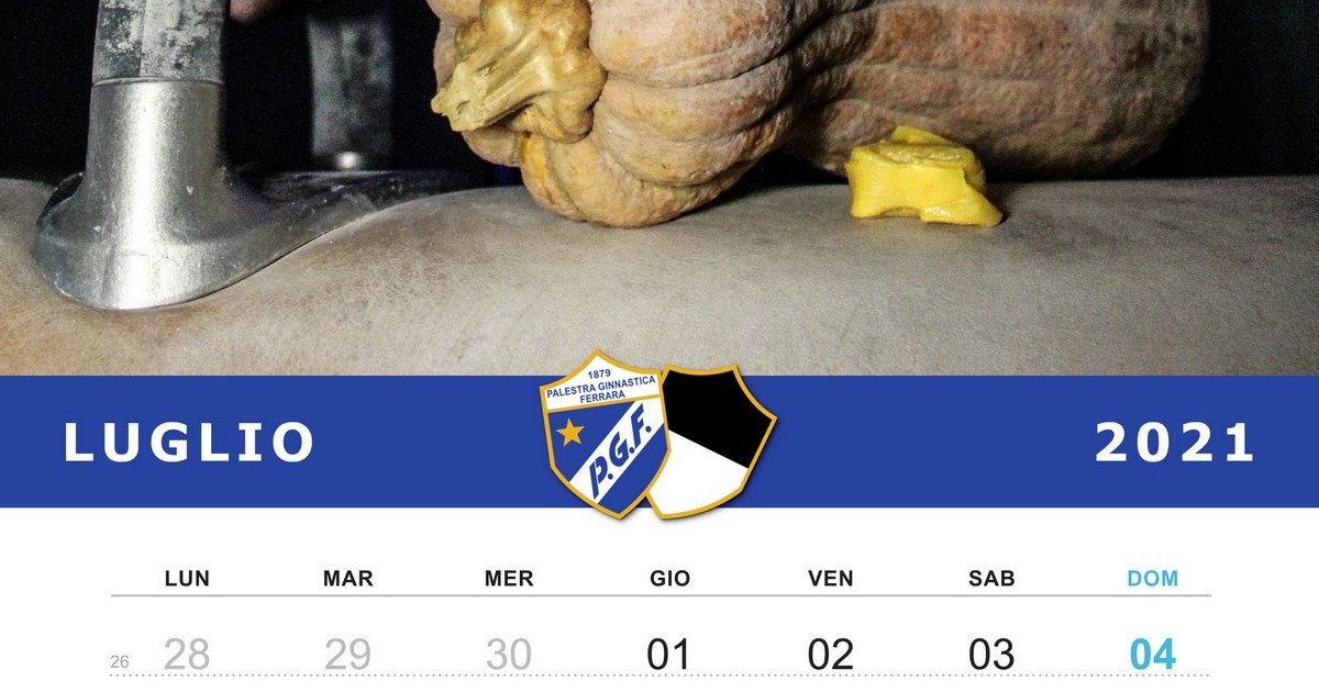 Palestra Ginnastica e Ferrara per AVIS! di Palestra Ginnastica Ferrara a.s.d. Palestra Ginnastica e Ferrara per AVIS!-Palestra Ginnastica Ferrara a.s.d.