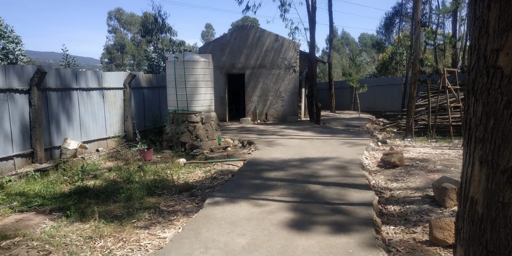 NATALE IN CASA TOADD di TOADD Onlus NATALE IN CASA TOADD-TOADD Onlus