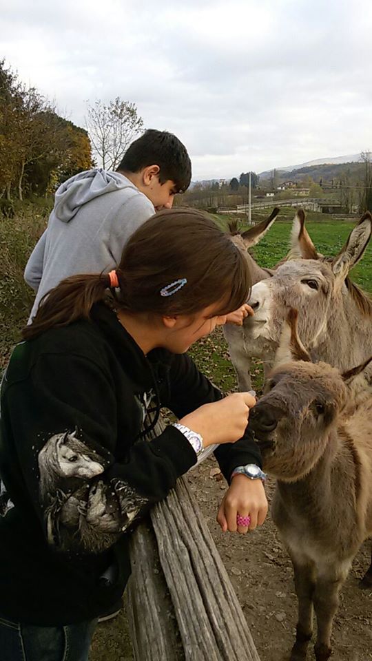 RACCOGLIAMO FONDI PER IL DOPO DI NOI! di AIABA Onlus RACCOGLIAMO FONDI PER IL DOPO DI NOI!-AIABA Onlus