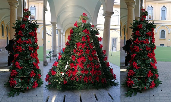 TEATRO INCLUSIVO , TEATRO PER TUTTI  -Associazione Scuola Vivaio