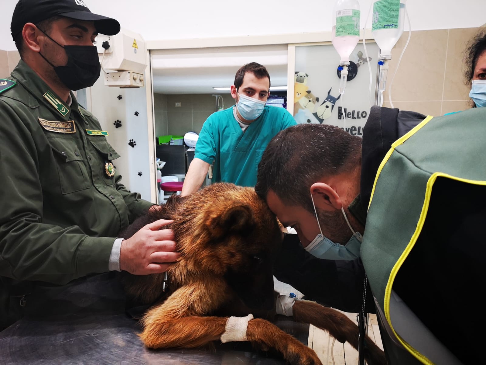 Ambiente e Animali di SAT KRONOS Ambiente e Animali-SAT KRONOS