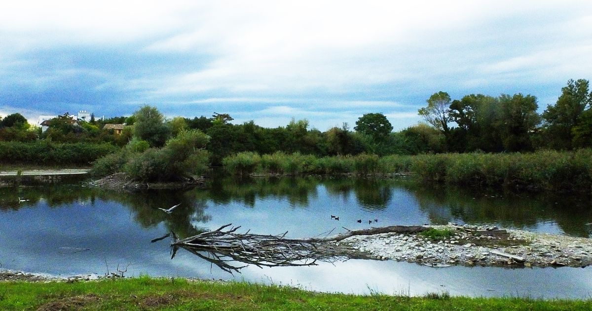 Il mio amico stagno-Associazione Naturalistica Argonauta