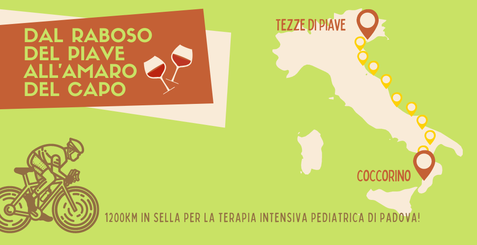 Dal Raboso del Piave all'Amaro del Capo di Fondazione Salus Pueri Dal Raboso del Piave all'Amaro del Capo-Fondazione Salus Pueri