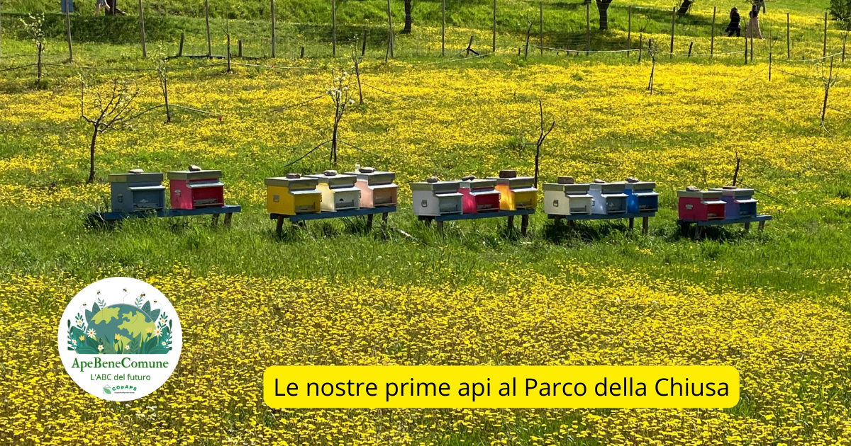 ApeBeneComune - L'ABC del futuro-COpAPS