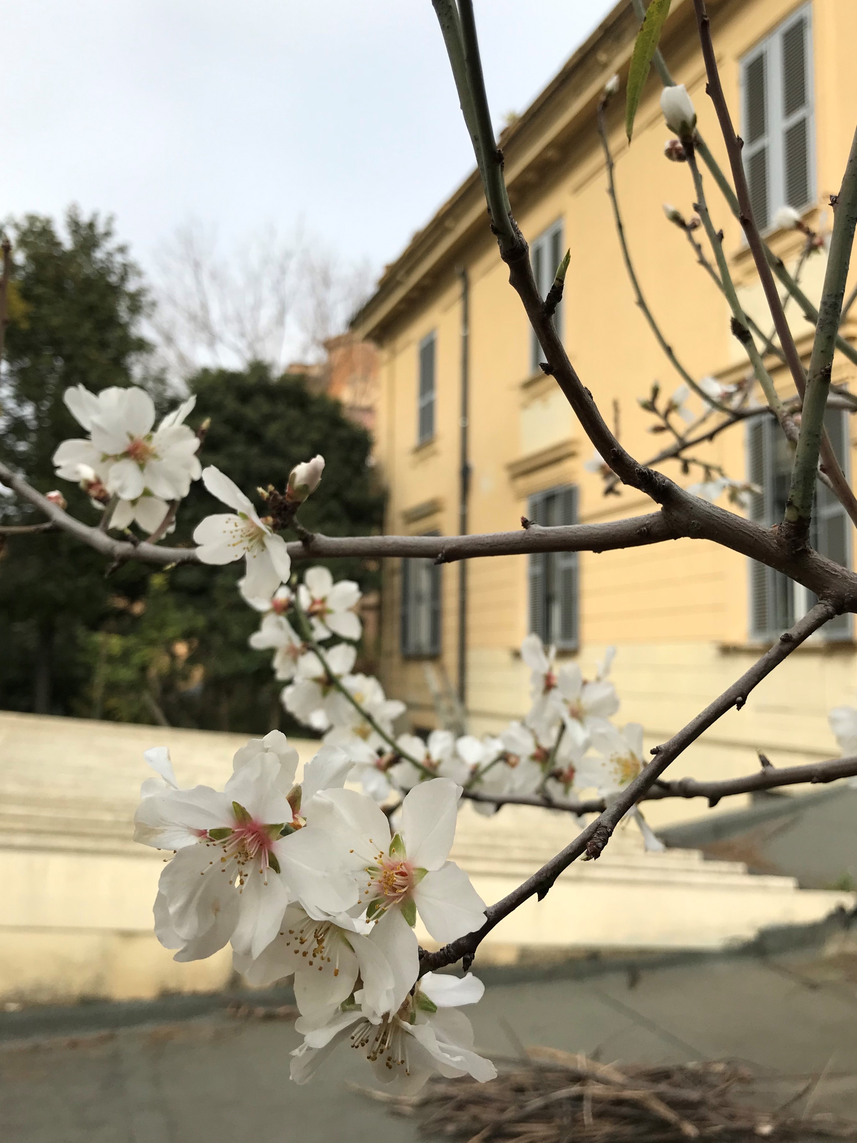 Un passo dopo l'altro per Casa Marzia di Arché Un passo dopo l'altro per Casa Marzia-Arché
