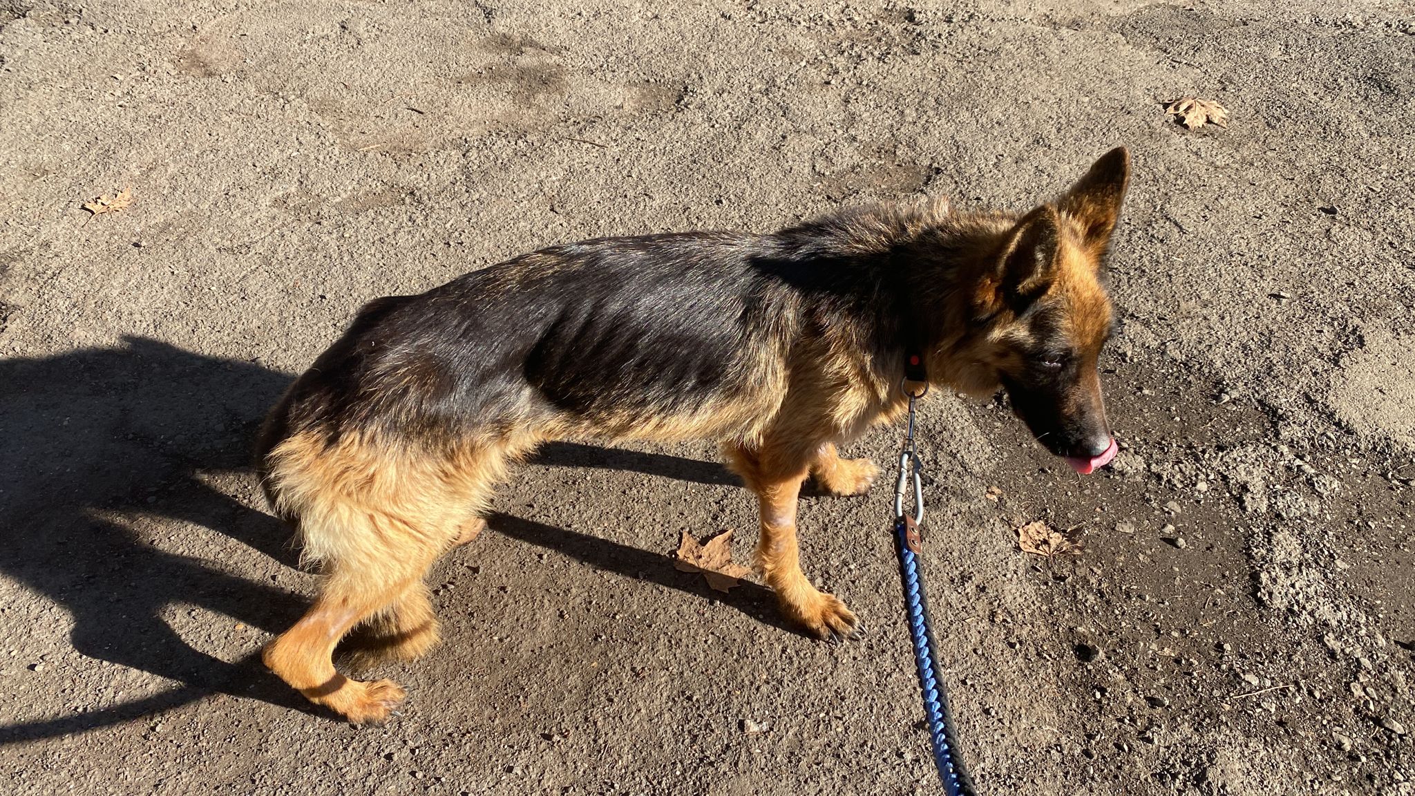 UN AIUTO PER BRITISH-SAT KRONOS